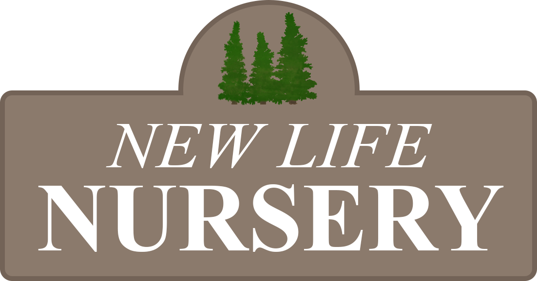 New Life Nursery
