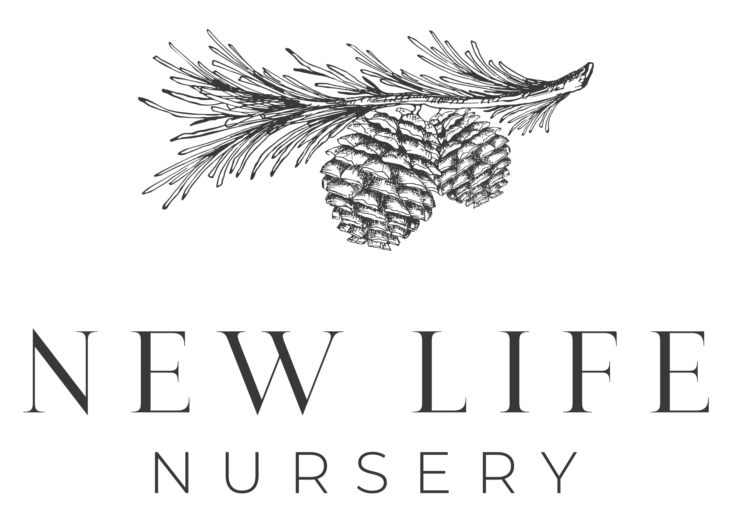New Life Nursery